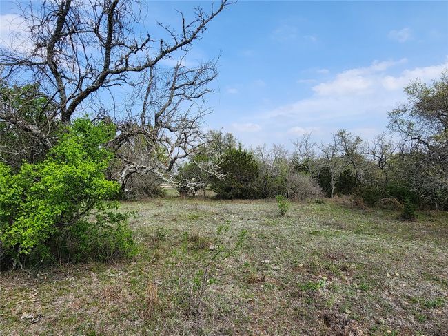 212 Oak Glen Ln, Home with 0 bedrooms, 0 bathrooms and null parking in Briggs TX | Image 20