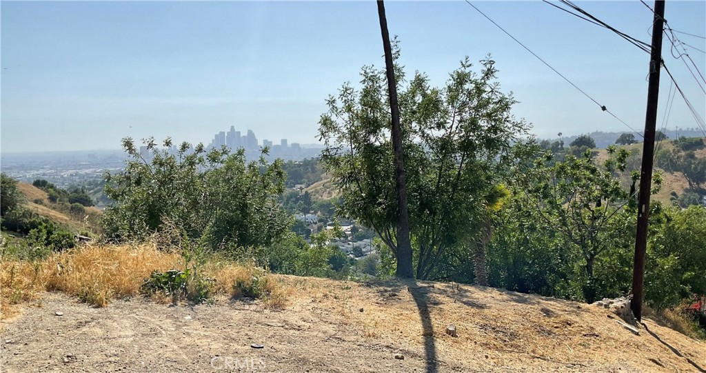 Land in Los Angeles 2
