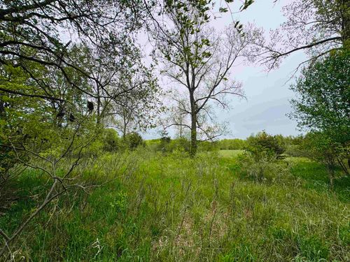 Parcel B3 Bosscher Road, Caldwell Township, MI, 49663 | Card Image