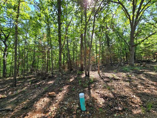 Lot 6 Tall Oaks Rd, Pittsburg, MO, 65724 | Card Image