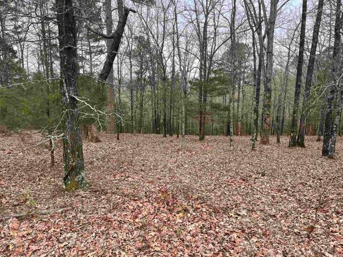 Lot 4 Diamond Bluff Road, Quitman, AR, 72131 | Card Image