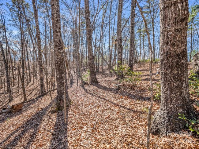 21-24-AND-25 - 000 Forester Ln, Home with 0 bedrooms, 0 bathrooms and null parking in Mill Spring NC | Image 17