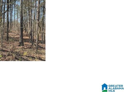 22-0 Aurora Drive, ALPINE, AL, 35014 | Card Image
