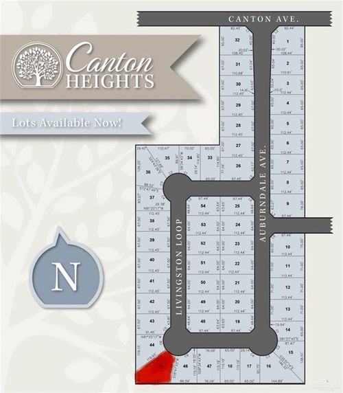 2100 Clearwater Street, Edinburg, TX, 78542 | Card Image