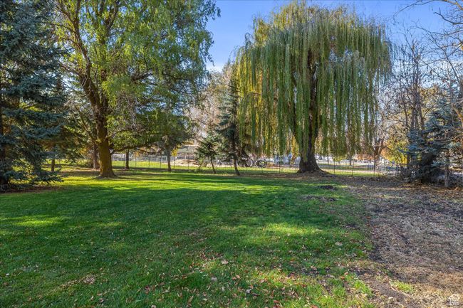 View of yard | Image 15