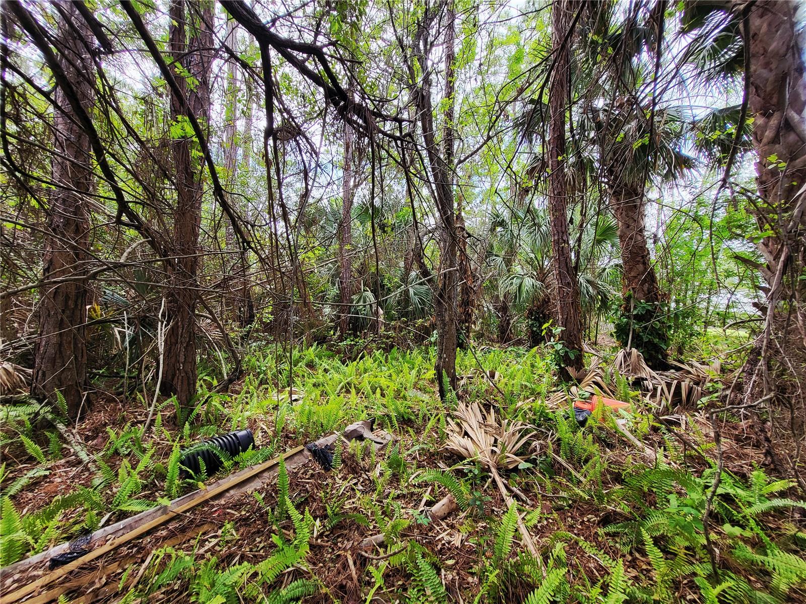Land in PALM BAY 4