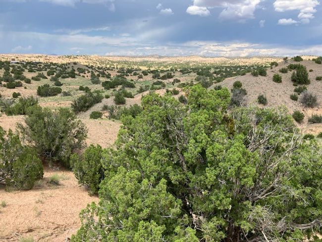 3 Private Drive 1613 B, Home with 0 bedrooms, 0 bathrooms and null parking in Medanales NM | Image 18