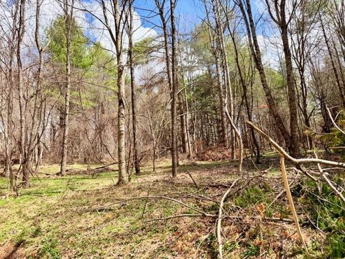 TBD (0.96 Acre) Crestview Drive West, Creston, NC, 28615 | Card Image