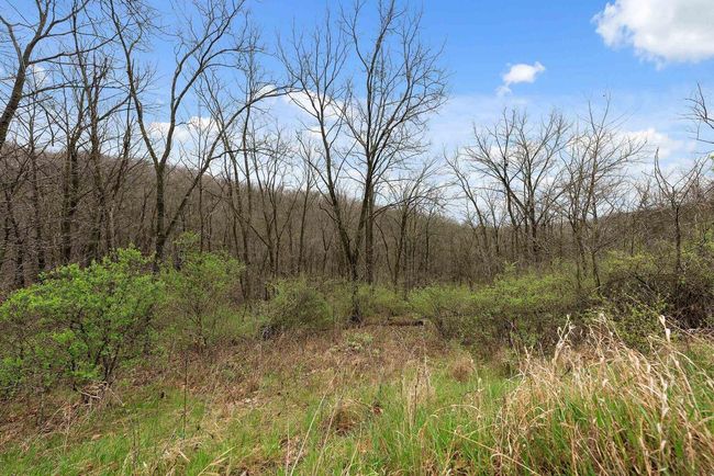 36480 Bouska Rd, Home with 0 bedrooms, 0 bathrooms and null parking in Prairie Du Chien WI | Image 46