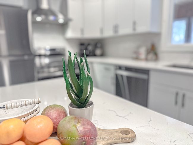 1170 English Cir, House other with 2 bedrooms, 2 bathrooms and 8 parking in Gooderham ON | Image 18