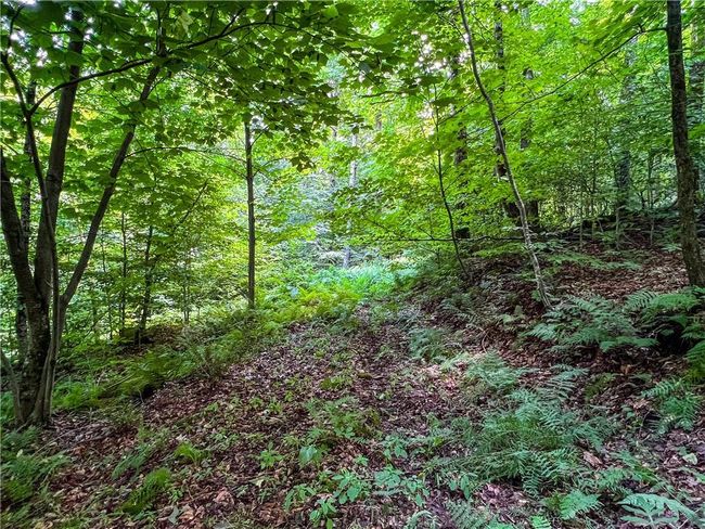 22+ Acres | Image 24