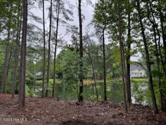 305 Burning Tree Rd, House other with 4 bedrooms, 4 bathrooms and 2 parking in Pinehurst NC | Image 10