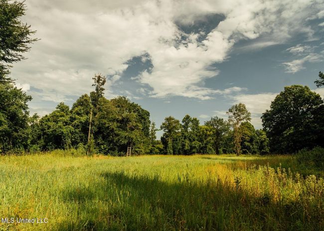 Castens Creek Pics-65 | Image 29