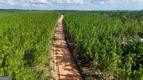 TRACT 7 Penny Morris Rd, Baxley, GA, 31513 | Card Image