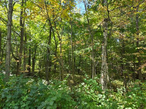 1 Carstens Lake Rd, Kiel, WI, 53042 | Card Image