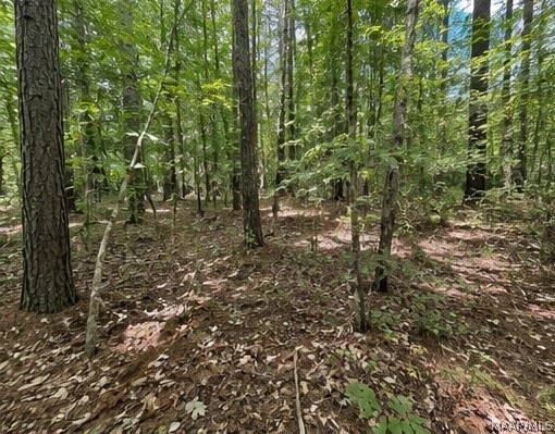 Land in Whatley 3
