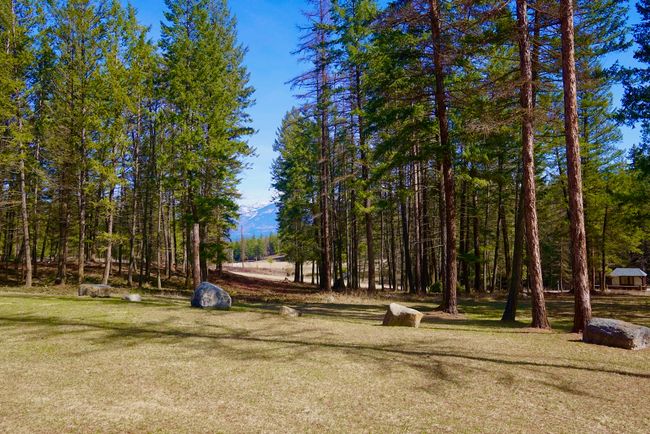 View of yard | Image 7