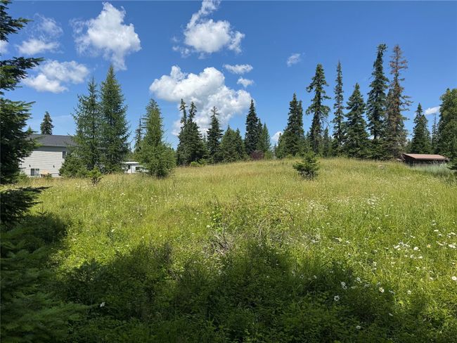 13643 Sundance Trail, Bigfork, MT 59911 | Image 7