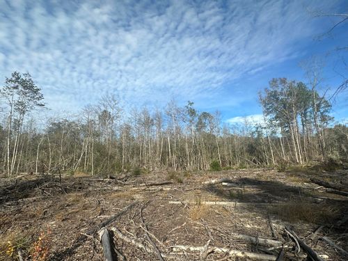 6331 Sellers Rd, Bonifay, FL, 32425 | Card Image