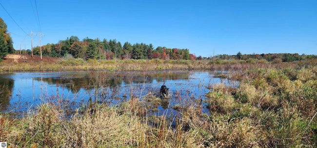 40 Acres Truesdale Road, Home with 0 bedrooms, 0 bathrooms and null parking in Manton MI | Image 4