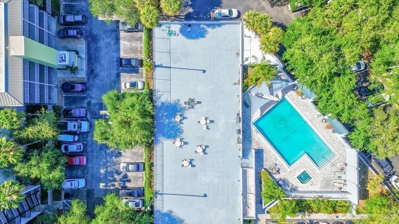 Residential Lease in TAMPA 3