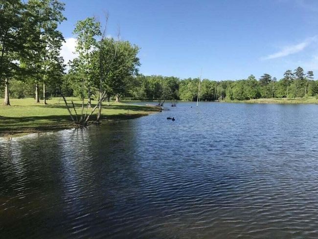 0 Log Cabin Ln, Home with 0 bedrooms, 0 bathrooms and null parking in Dunlap TN | Image 10