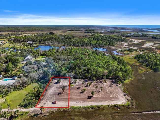 159 Sw 273rd Ave, Home with 0 bedrooms, 0 bathrooms and null parking in Steinhatchee FL | Image 5
