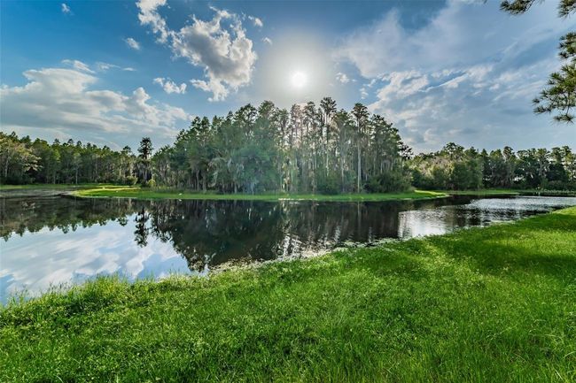 1236 Ketzal Dr, House other with 5 bedrooms, 3 bathrooms and null parking in TRINITY FL | Image 49