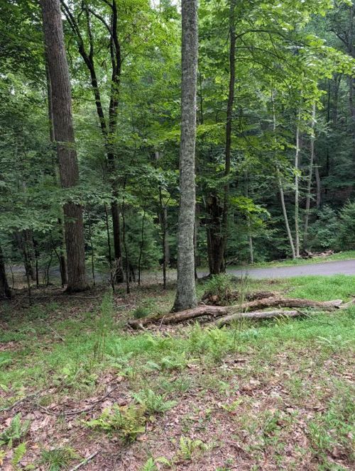 190 Valley Ln, Blairsville, GA, 30512 | Card Image
