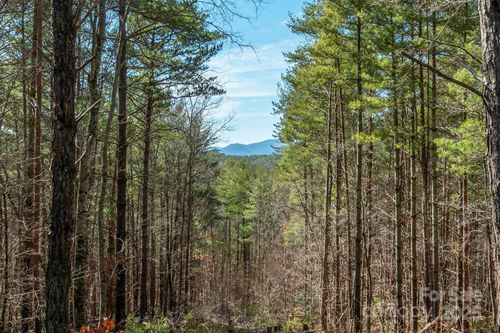 1683 Pisgah Preserve Dr, Nebo, NC, 28761-0127 | Card Image