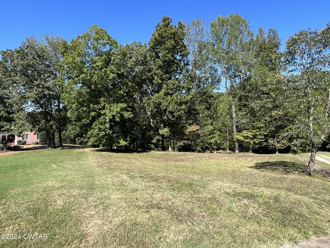000 Cypress Cv, Home with 0 bedrooms, 0 bathrooms and null parking in Lexington TN | Image 14