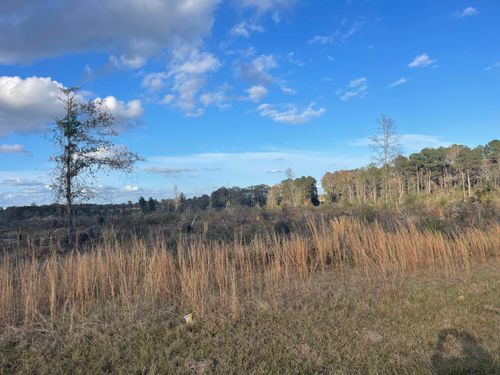 87 ac Jack Kerley Dr, Bassfield, MS, 39421 | Card Image