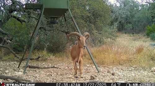 000 Fm 573 S, Mullin, TX, 76864 | Card Image