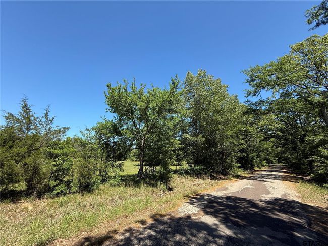 72 Acres N Farm Road 900, Home with 0 bedrooms, 0 bathrooms and null parking in Saltillo TX | Image 18