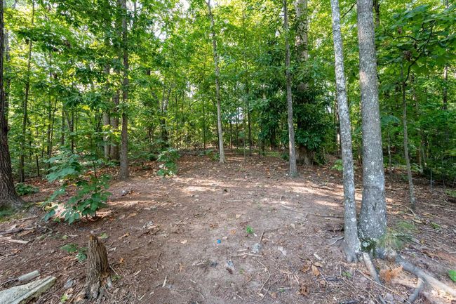 2039 Cliff Creek Ct Se, House other with 4 bedrooms, 5 bathrooms and null parking in Smyrna GA | Image 51