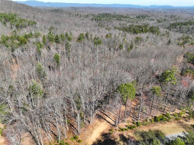 41.18 Acres (Off Of) Pole Bridge Rd, Home with 0 bedrooms, 0 bathrooms and null parking in Stuart VA | Image 8
