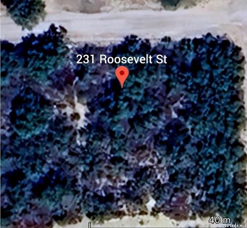 231 Roosevelt St., El Indio, TX, 78860 | Card Image