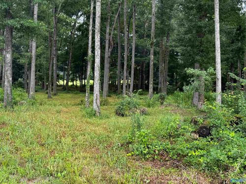 7AC Oakley Chapel Rd, New Market, AL, 35761-9306 | Card Image