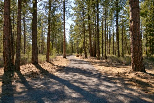 50750 Deer Forest Dr, La Pine, OR, 97739-7553 | Card Image