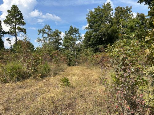 Tbd 7885 County Road 306 Pvt Drive-B, Ava, MO, 65608 | Card Image