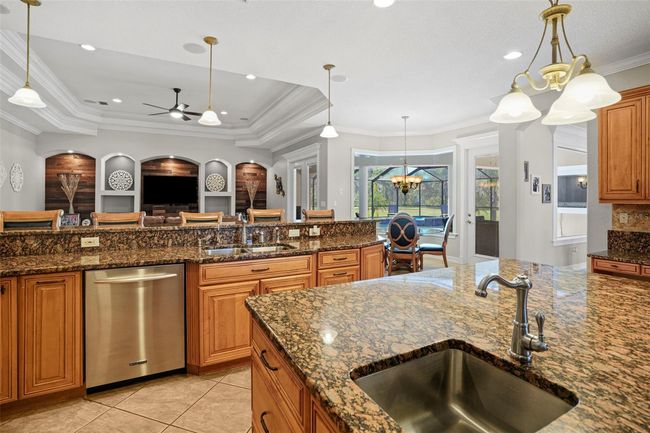 11518 Hammock Oaks Ct, House other with 4 bedrooms, 6 bathrooms and null parking in LITHIA FL | Image 11