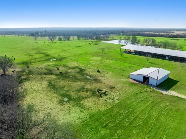 Approx 35 acre high fenced cross fenced pen. | Image 39