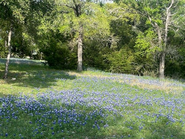 1096 Lakeside Trl, Home with 0 bedrooms, 0 bathrooms and null parking in Whitney TX | Image 15