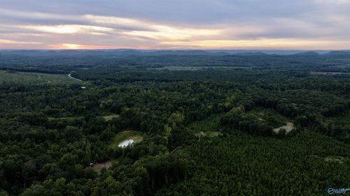 6724 County Road 80, Cedar Bluff, AL, 35959 | Card Image