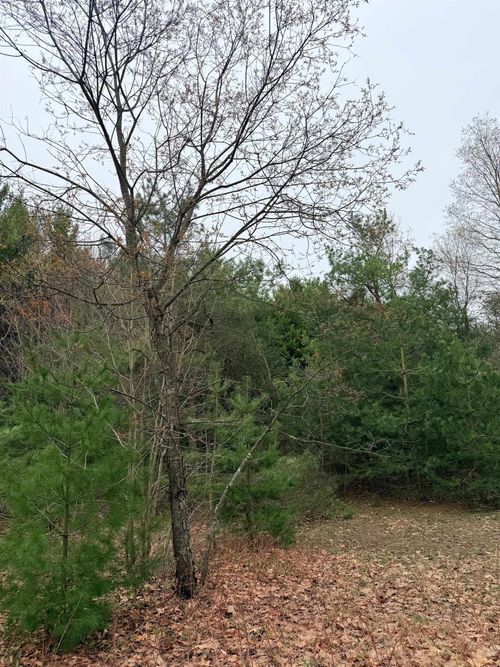 02 Woodland Trail, Almira Township, MI, 49684 | Card Image