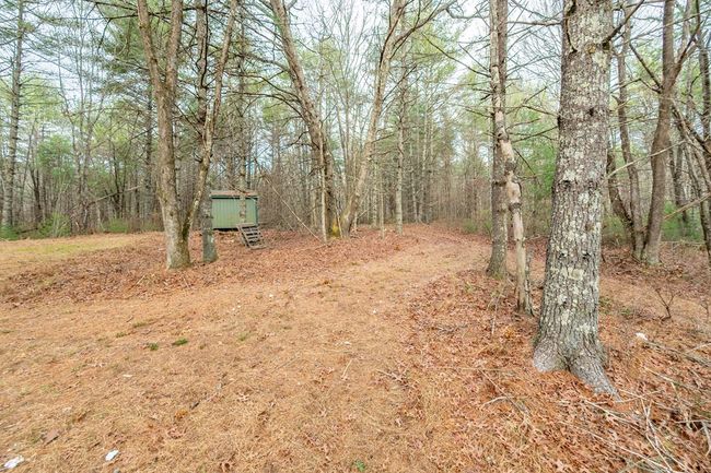 000 Miriam Road, Home with 0 bedrooms, 0 bathrooms and null parking in Dugspur VA | Image 8