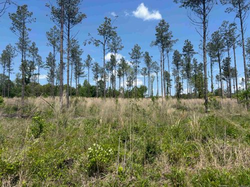 0 Grant 433, Sheridan, AR, 72150 | Card Image