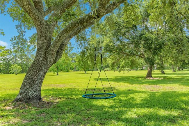 Surrounded by mature trees. | Image 7