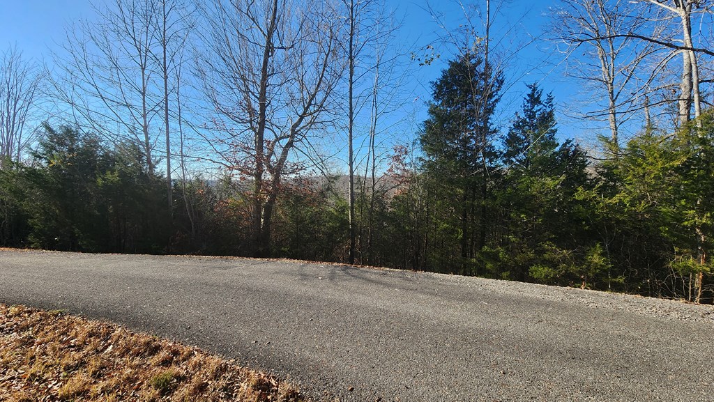 Land in Albany 5