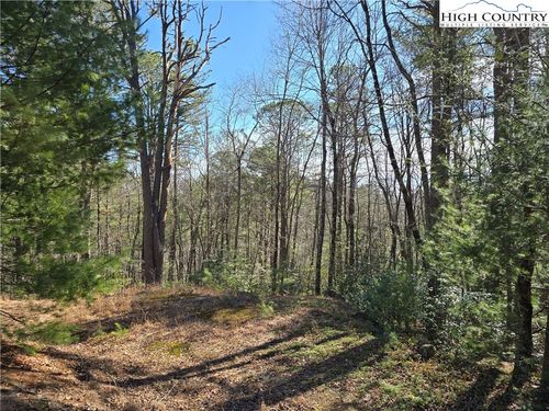 TBD Timber Ridge Rd, Millers Creek, NC, 28651 | Card Image